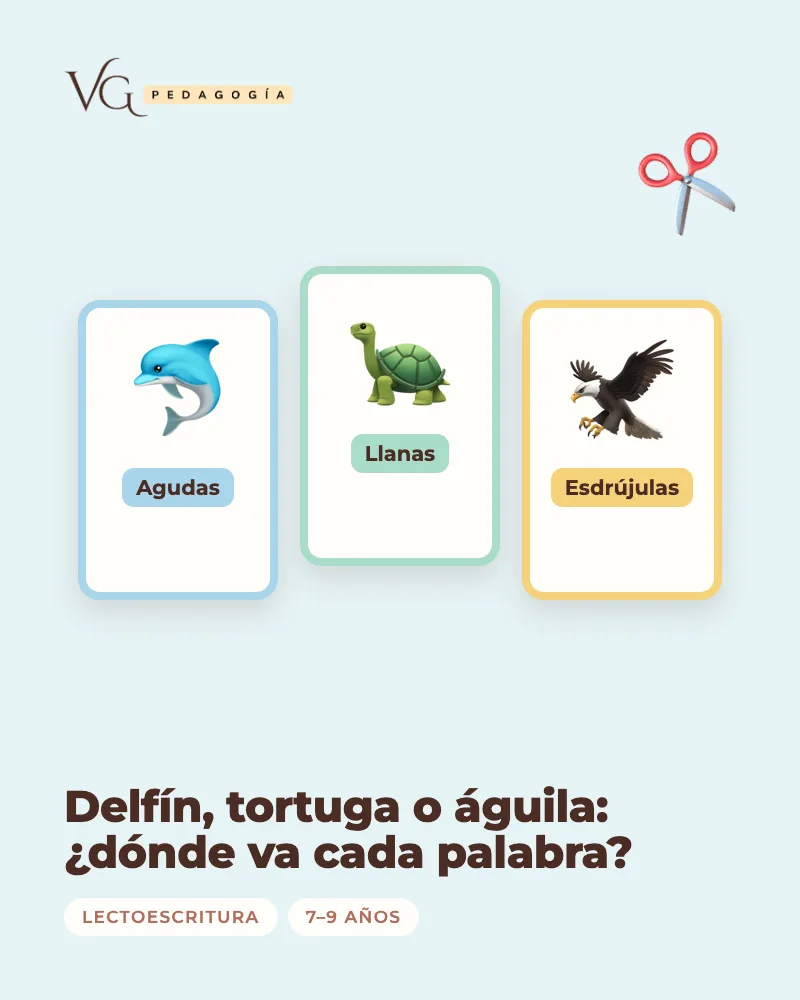 Portada de «Delfín, tortuga o águila: ¿dónde va cada palabra?», recurso en PDF de VG Pedagogía